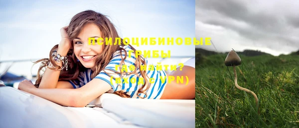 таблы Арсеньев